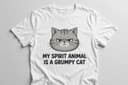 My Spirit Animal Is a Grumpy Cat T-Shirt